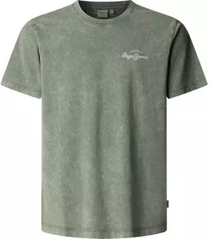 Pepe Jeans Terell Tee (PM509960621S) grün