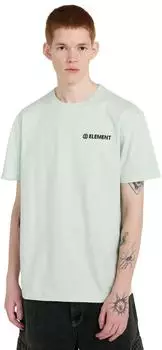 Element Blazin Chest T-Shirt (34311759) green lily