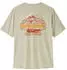 Patagonia Patagonia Logo Pocket Responsibili-Tee (37655)