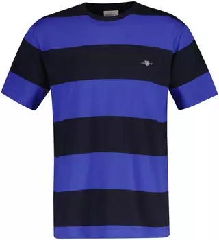 GANT T-Shirt mit Blockstreifen (2003203) blau (royal)