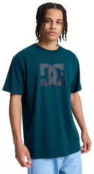DC Shoes DC Star T-Shirt Standard Fit Enzyme Wash (ADYZT05373-GTP0) ponderosa pine
