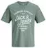 Jack & Jones JPRBLUZANE SS TEE FST T-Shirt mit Logo Print (12302467) grün