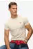 Superdry Essential Logo T-Shirt Organic Cotton Slim Fit (M1011245A) birch/red