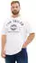 Tom Tailor 1039944 Plussize T-Shirt mit Logo-Print white