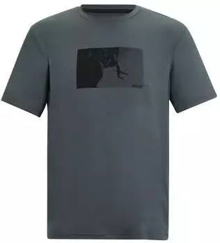 Regatta Fingal Stretch Graphic Print T-Shirt (RMT342) grau