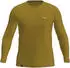 Salewa Puez Dry'ton Tee M (00-0000028864) faded green