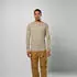 Salewa Puez Dry'ton Tee M (00-0000028864) faded green