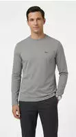 Langarmshirt BOSS GREEN "Tee Long", Herren, Gr. L, open grau063, Single Jersey,
