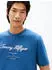 Tommy Hilfiger Logo Embroidery T-Shirt (MW0MW33691) aegean sea