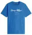 Tommy Hilfiger Logo Embroidery T-Shirt (MW0MW33691) aegean sea