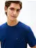 Tommy Hilfiger T-Shirt mit Flag-Stickerei (MW0MW39995) carbon navy