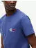 Tommy Hilfiger Signature Logo Slim Jersey T-Shirt (DM0DM22538) royalblau/rot/weiß