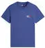 Tommy Hilfiger Signature Logo Slim Jersey T-Shirt (DM0DM22538) royalblau/rot/weiß