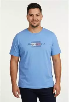 Tommy Hilfiger Big & Tall Jersey T-Shirt mit Flag-Grafik (MW0MW45120) blue spell