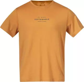Bergans Graphic Wool M Tee T-Shirt (7912596) orange