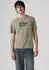 Levi's Batwing Logo Tee T-Shirt mit Logo-Front-Print (22491) hellgrau/schwarz/mountain bw 2 olive night