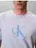 Calvin Klein Hero Monologo Tee Kurzarm-T-Shirt mit Rundhalsausschnitt, Regular Fit (LV04RB862G) breezy blue