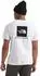 The North Face Evolution NSE Box T-Shirt kurzarm (Herren)