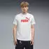 Puma Essentials 2 Colour No. 1 Logo T-Shirt kurzarm (Herren)
