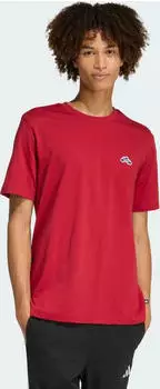 adidas Summer Slide Trim Grafik T-Shirt kurzarm active maroon (Herren) (KG5389)