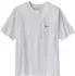 Patagonia Patagonia Logo Pocket Responsibili-Tee (37655)