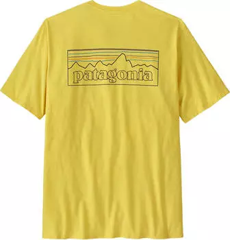 Patagonia P-6 Logo Responsibili-Tee (38504)