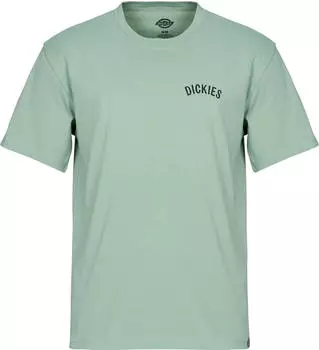 Dickies Snake T-Shirt kurzarm mint (Herren) (DK0A4Z99K361)