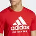 adidas FC Bayern München DNA Graphic T-Shirt kurzarm rot (Herren) (HY3292)