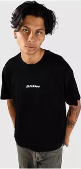 Dickies Enterprise T-Shirt kurzarm schwarz (Herren) (DK0A4YRNBLK1)