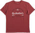 Quiksilver Drop in Drop Out T-Shirt Men brick red