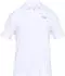 white/pitch gray 100