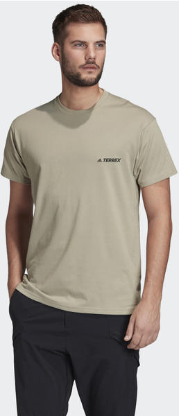Adidas TERREX Primeblue Logo T-Shirt feather grey (FJ5038)