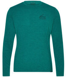 Patagonia Long-Sleeved Capilene Cool Daily Graphic Shirt borealis green
