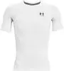 Herren T-Shirts
