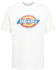 Dickies Icon Logo T-Shirt white