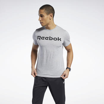 Reebok Graphic Series Linear Logo T-Shirt (FP9162) medium grey heather