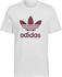 Adidas Adicolor Classics Trefoil T-Shirt