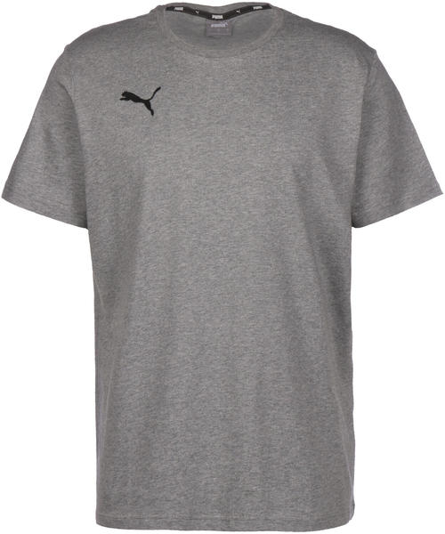 Puma teamGOAL 23 Casuals T-Shirt grey