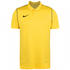 Nike Park 20 Dry yellow