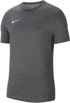 Nike Dry Park 20 T-Shirt (CW6952) grey