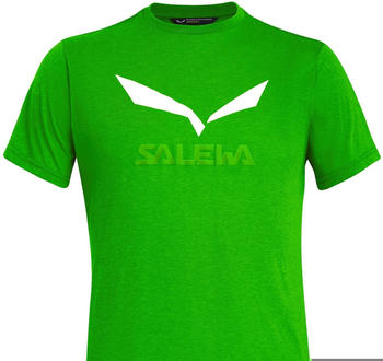 Salewa Solidlogo Dri-Release T-Shirt pale frog melange
