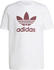 Adidas Adicolor Classics Trefoil T-Shirt