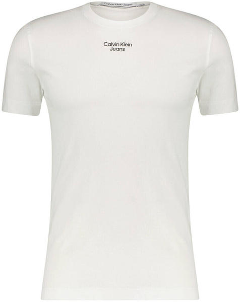 Calvin Klein Slim Fit T-Shirt (J30J320595) white