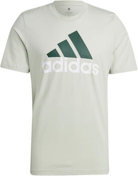 Adidas Essentials Big Logo T-Shirt green (HL2249)