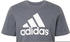 grey (HL2248)