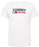 Tommy Hilfiger Pure Organic Cotton Logo T-Shirt (DM0DM15379) white