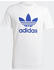 Adidas Adicolor Classics Trefoil T-Shirt