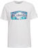 Columbia Sun Trek T-Shirt Men (1931172) white-palmed hex graphic