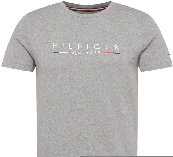 Tommy Hilfiger New York Short Sleeve Round Neck T-Shirt (MW0MW29372-P91) schwarz