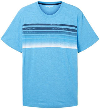 Tom Tailor T-Shirt mit Print (1036422) blau